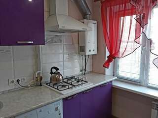 Апартаменты Apartment at Televisionnaya Street Днепр Большой двухместный номер с 1 кроватью-21