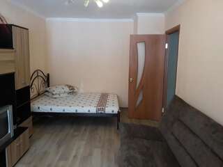 Апартаменты Apartment at Televisionnaya Street Днепр Большой двухместный номер с 1 кроватью-25