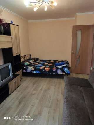 Апартаменты Apartment at Televisionnaya Street Днепр Большой двухместный номер с 1 кроватью-31